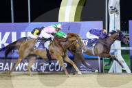 2025 Dubai World Cup horse race
