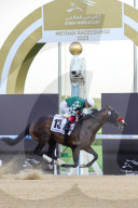 2025 Dubai World Cup horse race