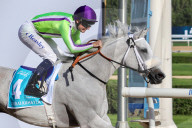 2025 Dubai World Cup horse race