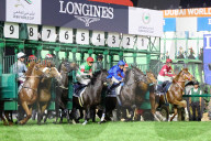 2025 Dubai World Cup horse race