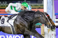 2025 Dubai World Cup horse race