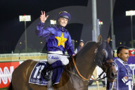 2025 Dubai World Cup horse race