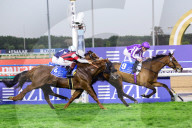 2025 Dubai World Cup horse race