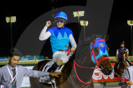 2025 Dubai World Cup horse race