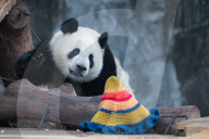 Chongqing Zoo