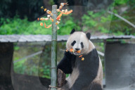 Chongqing Zoo