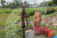 Daily Life Bangladesh