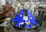 Broiler Processing
