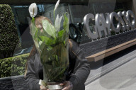 Hold A Tribute In Memory Of Citlali Berenice Giles And Miguel Angel Rojas