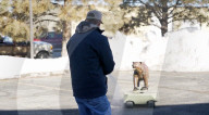 Robobear trains hikers ho to ward off bear attacks