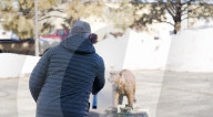 Robobear trains hikers ho to ward off bear attacks