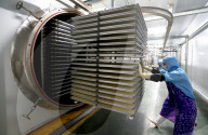 China Largest Commercial Production Base For Edible Fungi