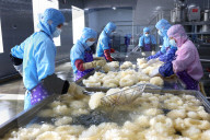 China Largest Commercial Production Base For Edible Fungi