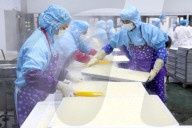 China Largest Commercial Production Base For Edible Fungi