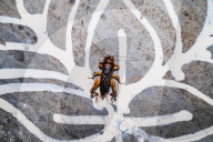 Gryllus Field Cricket Insect On Alpana Folk Art - Animal India