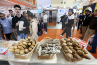 International Exhibition (Djazagro 2025)