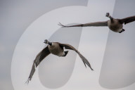 Wildlife At The Fernald Nature Preserve