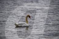Wildlife At The Fernald Nature Preserve