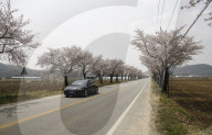 South Korea Weather