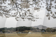 South Korea Weather