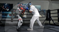 Robot boxers slug it out in the ring