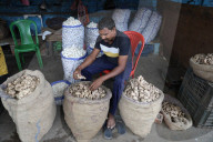 India's Economy