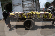 India's Economy