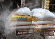 India's Economy