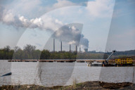 Mute Swans, Flooding, And Pollution In Ohio