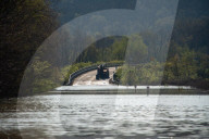 Mute Swans, Flooding, And Pollution In Ohio