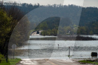 Mute Swans, Flooding, And Pollution In Ohio