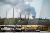 Mute Swans, Flooding, And Pollution In Ohio