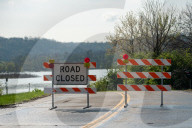 Mute Swans, Flooding, And Pollution In Ohio