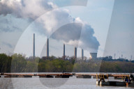 Mute Swans, Flooding, And Pollution In Ohio