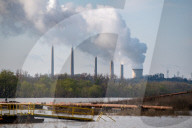 Mute Swans, Flooding, And Pollution In Ohio