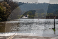Mute Swans, Flooding, And Pollution In Ohio
