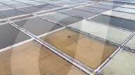 Salt Field