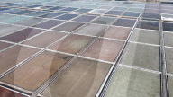 Salt Field