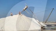 Salt Field