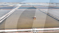 Salt Field