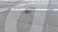 Salt Field