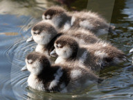 Warm weather continues in the UK