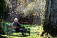 Senior On Bench Using Smartphone In Park
