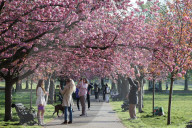 Warm weather continues in the UK