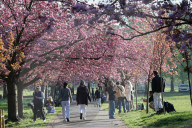 Warm weather continues in the UK