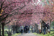 Warm weather continues in the UK