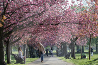 Warm weather continues in the UK