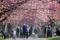 Warm weather continues in the UK