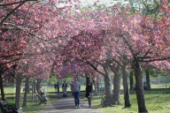 Warm weather continues in the UK
