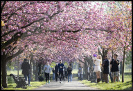 Warm weather continues in the UK